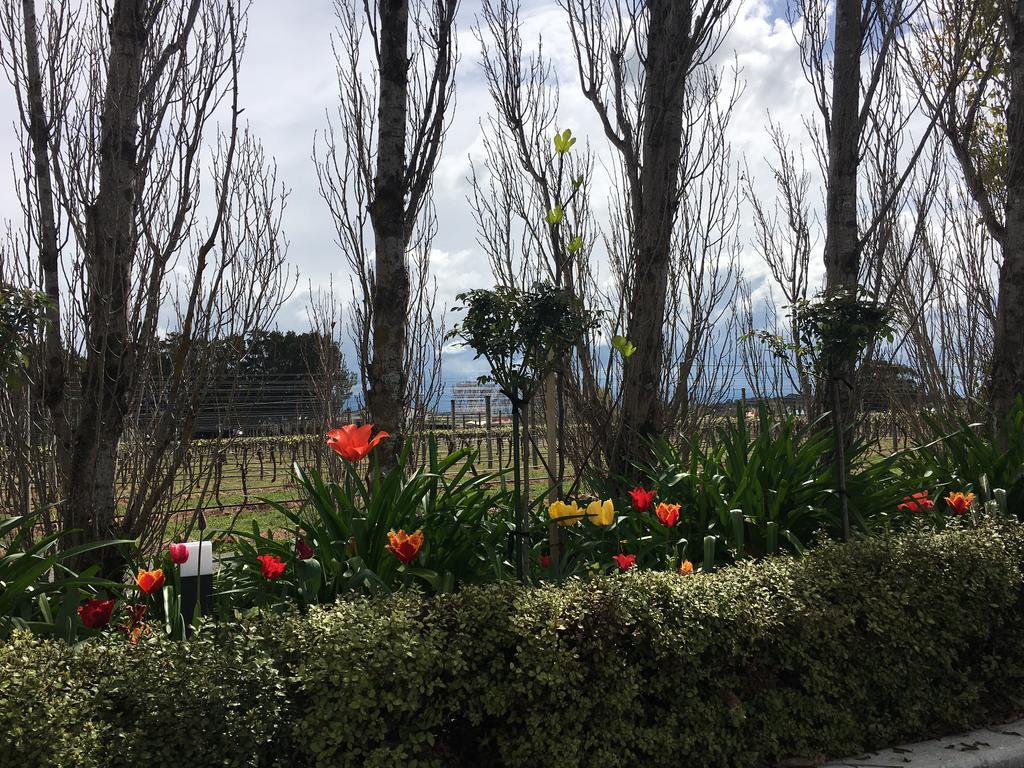 Aylstone Martinborough Exterior foto