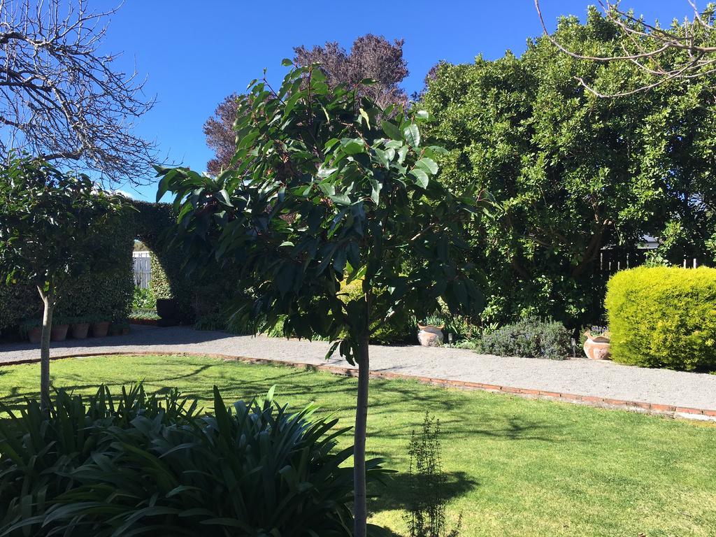 Aylstone Martinborough Exterior foto