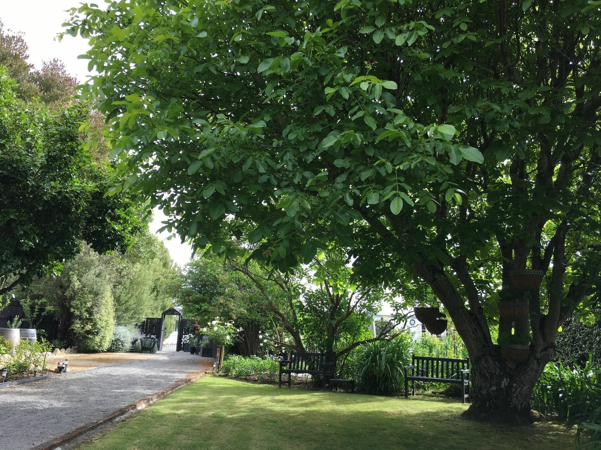Aylstone Martinborough Exterior foto