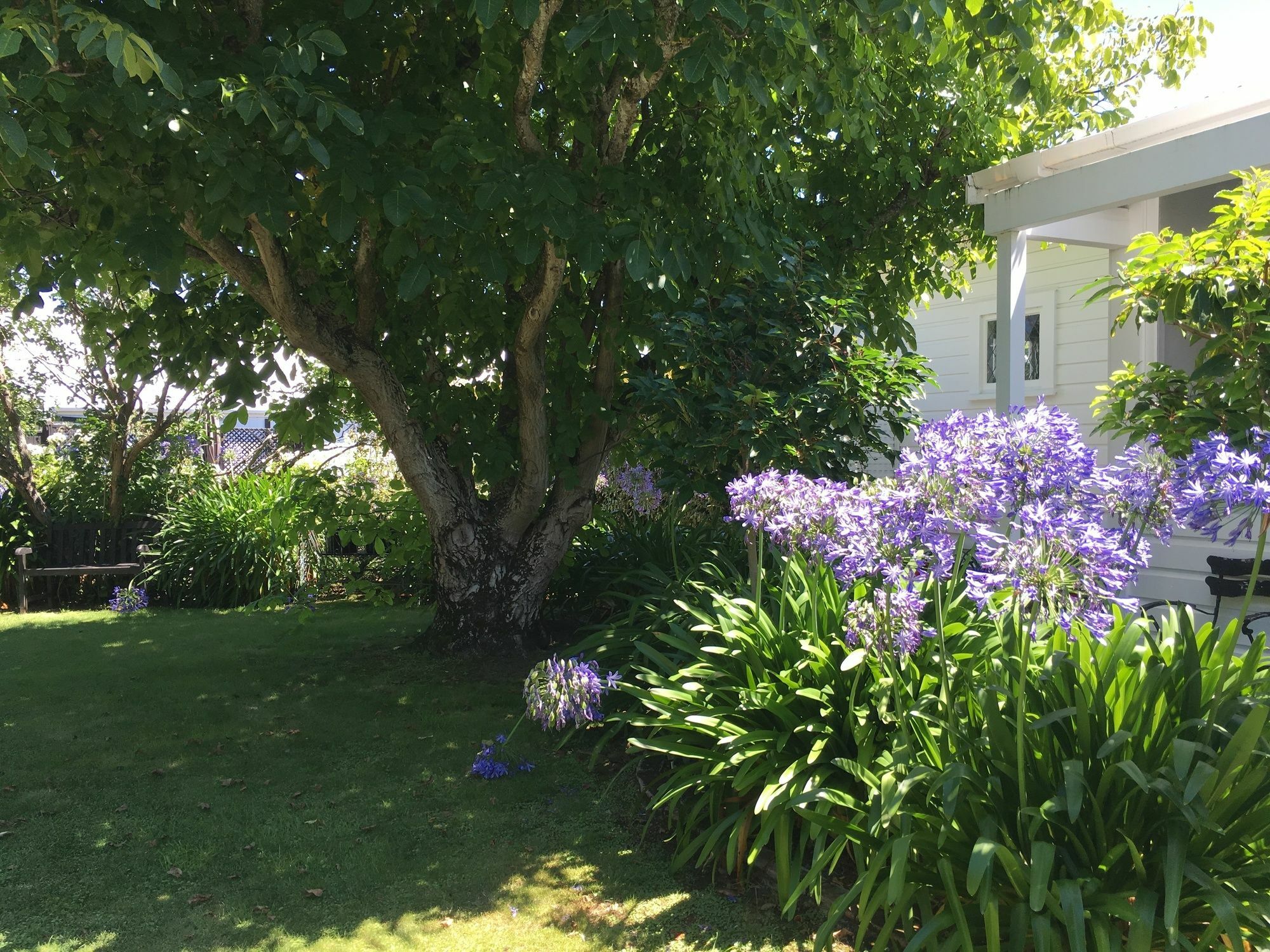 Aylstone Martinborough Exterior foto